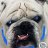 MeanDog