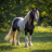 Gypsyvanner12