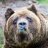 Bruin3350