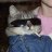 Denacat