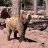 SmokeyTheBear