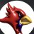 corviancardinallover