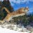 FlyingLion