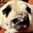 Fat Odie