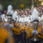 TigerBand83