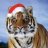EcopiaTiger
