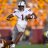 NW_Tennessee_Dawg