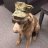 Marine_Vol