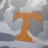 ut_bwhaley