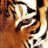 PhantomTiger