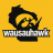 o_wausauhawk