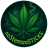 NoSeedsNoStemsNoSticks