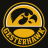 GesterHawk