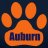 ATiger4Life