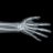 xrayabsorbed