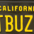 GTBuzz